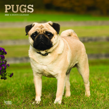 Calendar Pugs 2023 Square Foil Book