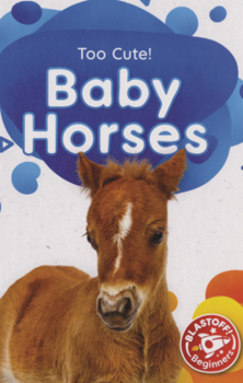 Baby Horses