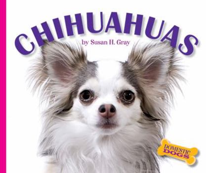 Library Binding Chihuahuas Book
