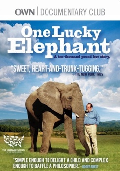 DVD One Lucky Elephant Book