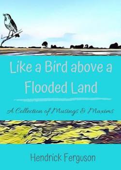 Paperback Like a Bird above a Flooded Land: A Collection of Musings & Maxims Book