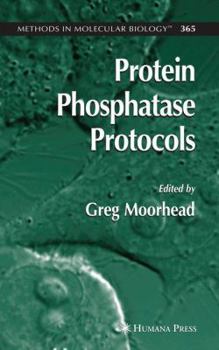 Hardcover Protein Phosphatase Protocols Book