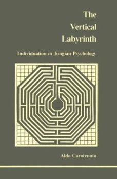 Paperback Vertical Labyrinth Book