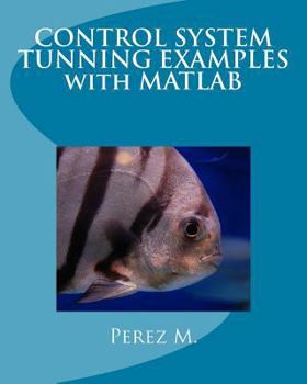 Paperback Control System Tunning Examples with MATLAB Book