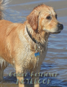 Paperback Golden Retriever NOTEBOOK: Dog Notebooks and Journals 110 pages (8.5"x11") Book