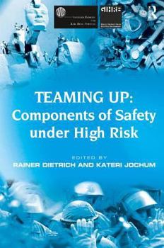Hardcover Teaming Up: Components of Safety Under High Risk Book