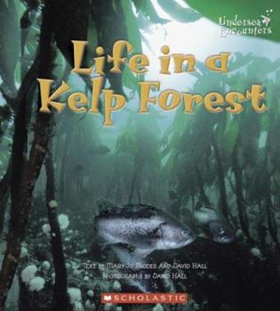 Paperback Life in a Kelp Forest Book