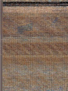 Paperback Assimilation (Paladin Chronicles) Book