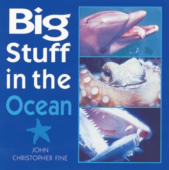 Hardcover Big Stuff in the Ocean Book