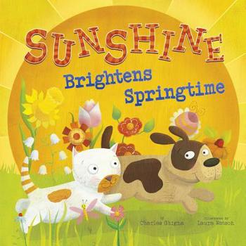 Sunshine Brightens Springtime - Book  of the Springtime Weather Wonders
