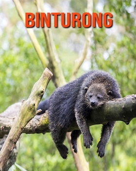 Binturong: Fun Learning Facts About Binturong