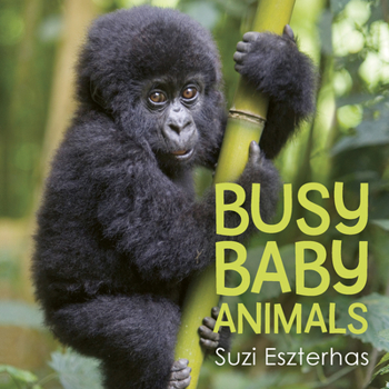 Board book Busy Baby Animals Book