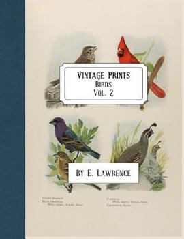 Paperback Vintage Prints: Birds: Vol. 2 Book