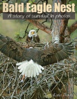 Paperback Bald Eagle Nest: A Story of Survival in Photos Book