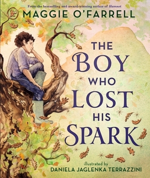 Paperback Walker Books Ltd. The Boy Who Lost His Spark. Book