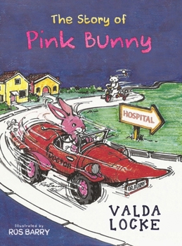 Hardcover The Story of Pink Bunny Book