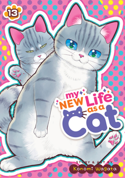 Paperback My New Life as a Cat Vol. 13 Book