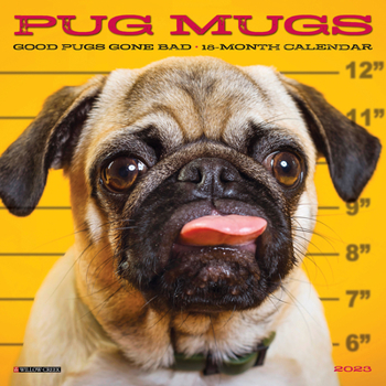 Calendar Pug Mugs 2023 Mini Wall Calendar Book