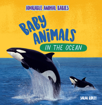 Library Binding Baby Animals in the Ocean Book