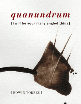 Paperback Quanundrum [I Will Be Your Many Angled Thing] Book