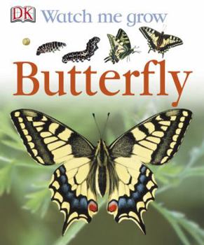 Butterfly (Watch Me Grow) - Book  of the DK Watch me grow