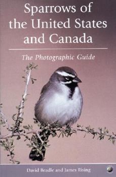 Paperback Sparrows of the United States and Canada: The Photographic Guide Book