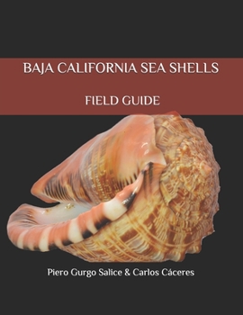 Paperback Baja California Seashells Field Guide Book