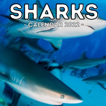 Paperback Sharks Calendar 2022: 16-Month Calendar, Cute Gift Idea For Shark Lovers Men And Women Book