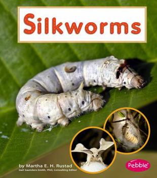 Hardcover Silkworms Book