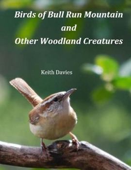 Paperback Birds of Bull Run Mountain and Other Woodland Creatures Book