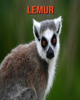 Lemur: Amazing Facts about Lemur