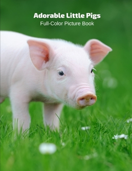 Adorable Little Pigs Full-Color Picture Book: Animals Photography Book