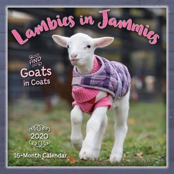 Lambies in Jammies & Goats in Coats 2020 Calendar