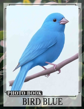 Paperback Bird Blue Photo Book: Vibrant 40-Image Collection Of Beautiful Blue Birds For Nature Lovers To Enjoy Book