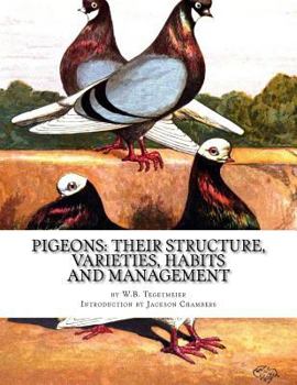 Paperback Pigeons: Their Structure, Varieties, Habits and Management: Pigeon Classics Book 12 Book