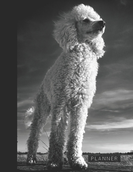 Planner: Cute Poodle Puppy 2 Year Weekly Planning Organizer | 2020 - 2021 | January 20 - December 21 | Writing Notebook | Productive Datebook Calendar Schedule | Plan Days, Set Goals & Get Stuff Done