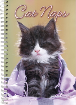 Calendar 2021 Cat Naps 17-Month Weekly Planner Book