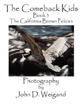 Paperback The Comeback Kids, Book 3, the California Brown Pelican Book