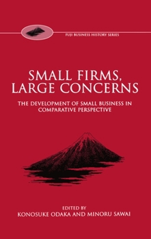 Hardcover Small Firms, Large Concerns 'The Development of Small Business in Comparative Perspective' Book