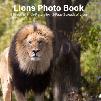 Paperback Lions Photo Book: 14 Beautiful, High-Resolution, 2-Page Spreads of Lions Book