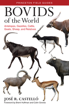 Paperback Bovids of the World: Antelopes, Gazelles, Cattle, Goats, Sheep, and Relatives Book