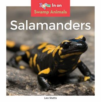 Salamanders - Book  of the Swamp Animals