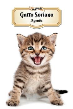 2020 Gatto Soriano Agenda: 107 Pagine | Dimensioni DIN A5 | Pianificatore Settimanale | 12 Mesi | Due Pagine Per Settimana | Calendario | Diario | Gatto (Italian Edition)