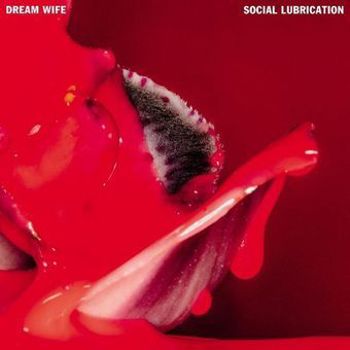 Vinyl Social Lubrication (Deep Red Vinyl) Book