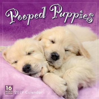 Calendar 2019 Pooped Puppies 16-Month Wall Calendar: By Sellers Publishing Book