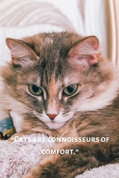 Paperback Notebook Journal: This Cat Notebook/ Cat Journal / Cat Women / For Cats Pets Lover (6x9 Journal) Lined Writing Notebook, 120 Pages Cat G Book