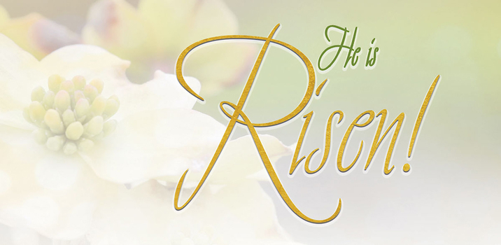 Loose Leaf Risen Easter Dogwood Offering Envelope (Pkg of 50) Book