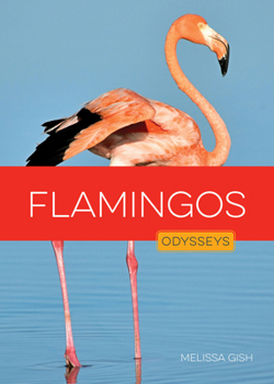 Paperback Flamingos Book