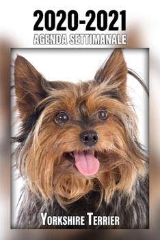 2020-2021 Agenda Settimanale Yorkshire Terrier: 221 Pagine | Dimensioni DIN A5 | Pianificatore | 24 Mesi | Due Pagine Per Settimana | Calendario | Diario | Cane | In Italiano (Italian Edition)