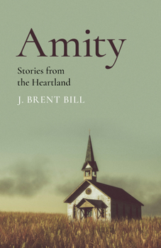 Paperback Amity: Stories from the Heartland Book